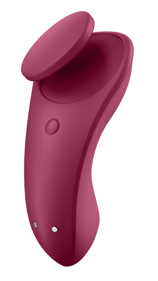 Partner Box 1 Violet - Double Joy & Sexy Secret Panty Vibrator Set