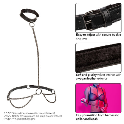 Euphoria Collection Chain Collar & Leash Harness - Black
