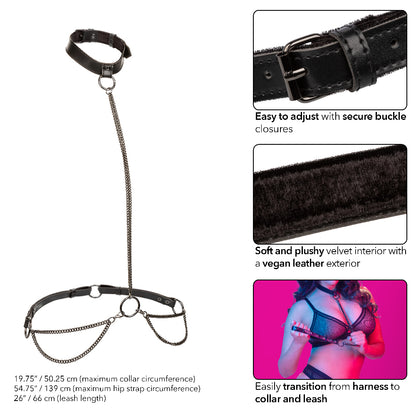 Euphoria Collection Plus Size Chain Halter Collar & Leash - Black
